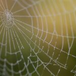 web agri