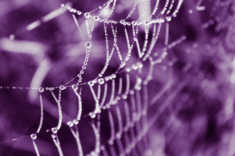 web agri