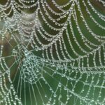 web agri