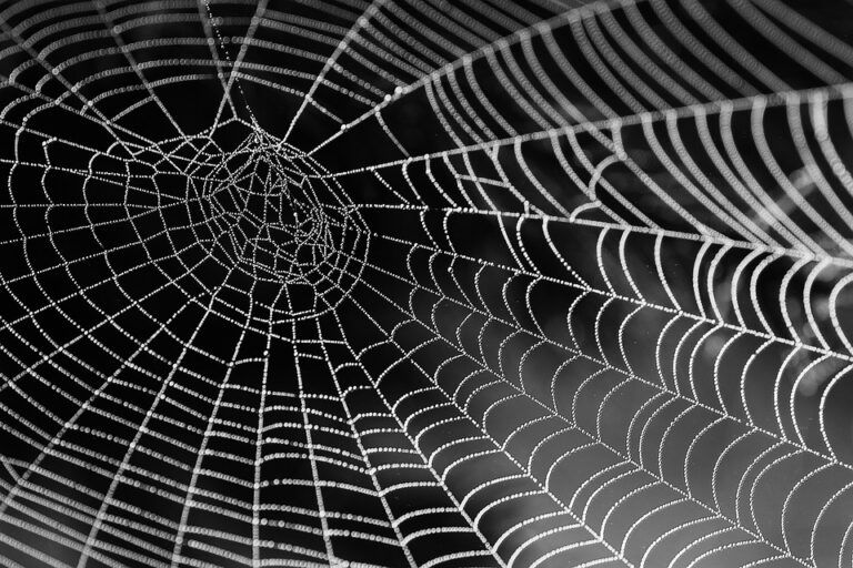 Le web au service de l&rsquo;agriculture moderne