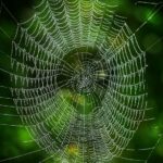 web agri